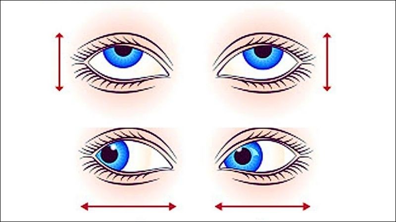 Chuyển động dọc và ngang giúp cải thiện cơ mắt, giảm căng thẳng cho mắt