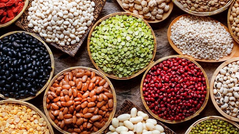 Protein từ các loại đậu cung cấp axit amin cần thiết cho sự tạo mô tế bào não