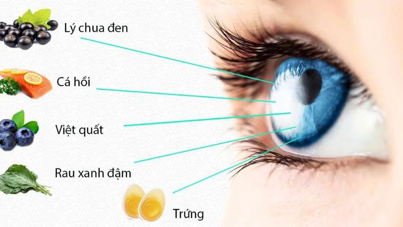 Bổ sung thêm dưỡng chất tốt cho mắt từ nguồn thực phẩm Bổ sung thêm dưỡng chất tốt cho mắt từ nguồn thực phẩm