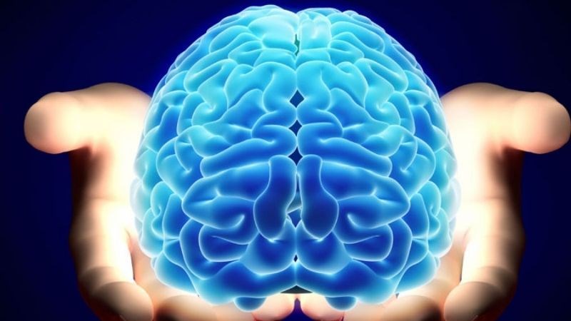 Omega 3 có thể cải thiện nhận thức của não trong nhiều giai đoạn của cuộc đời