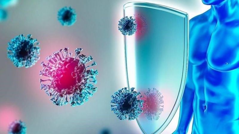 Bổ sung omega 3 giúp kháng viêm, tăng sức đề kháng