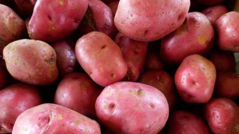 Bạn nên lựa chọn khoai tây đỏ hoặc khoai lang thay vì khoai tây trắng