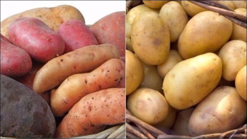 Khoai lang thường tốt hơn khoai tây chiên do chứa lượng nhiều chất xơ hơn
