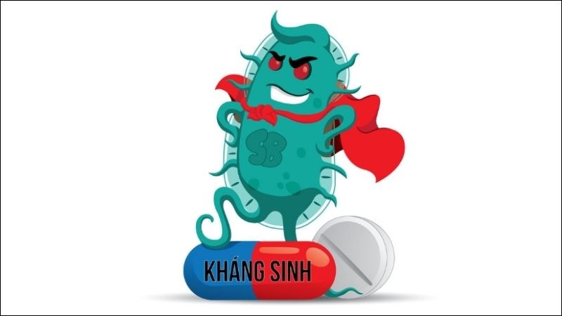 Tỏi chứa allicin có tác dụng kháng khuẩn và kháng virus