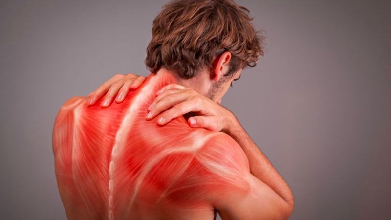 Các triệu chứng có thể thấy khi thiếu vitamin D là mất trương lực cơ, teo cơ