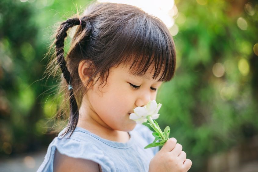 Chia sẻ cách đặt tên đệm hay cho tên Hòa theo màu sắc Chia sẻ cách đặt tên đệm hay cho tên Hòa