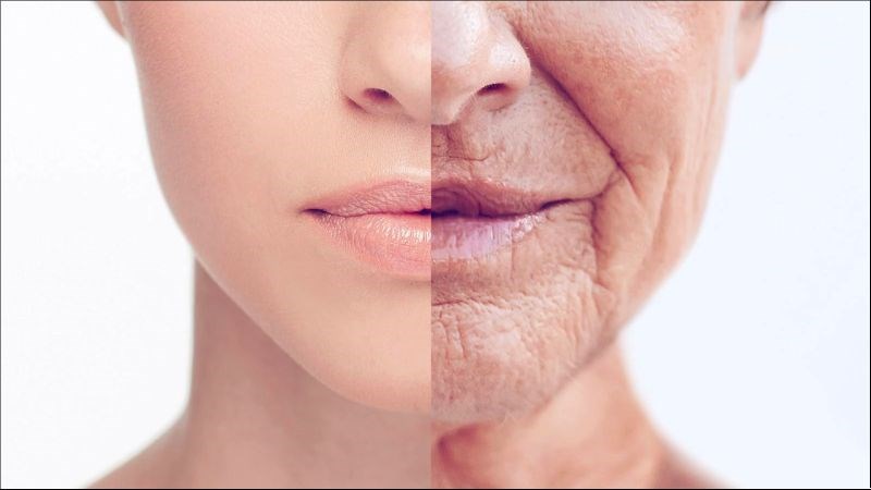Việc sử dụng vitamin E sẽ giúp bảo vệ da khỏi tình trạng lão hoá Việc sử dụng vitamin E sẽ giúp bảo vệ da khỏi tình trạng lão hoá