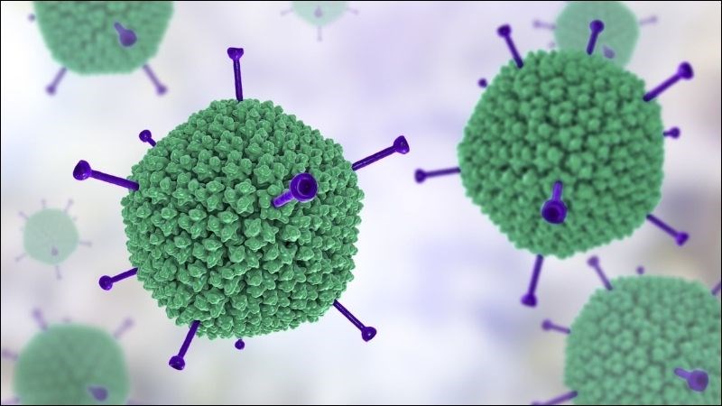 Adenovirus là tác nhân gây ra khoảng 80% - 90% các trường hợp đau mắt đỏ