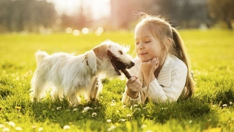 Dị ứng lông động vật có thể gây ra đau mắt đỏ 
