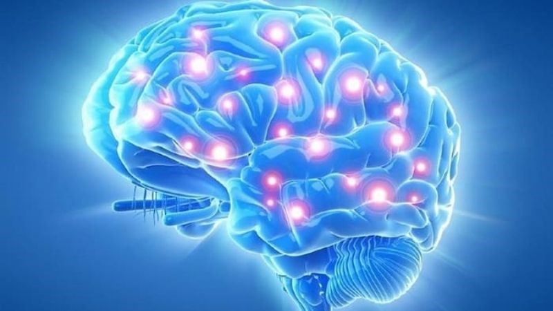 Kinh Vương Não Bộ có tác dụng tăng cường tuần hoàn máu não Kinh Vương Não Bộ có tác dụng tăng cường tuần hoàn máu não