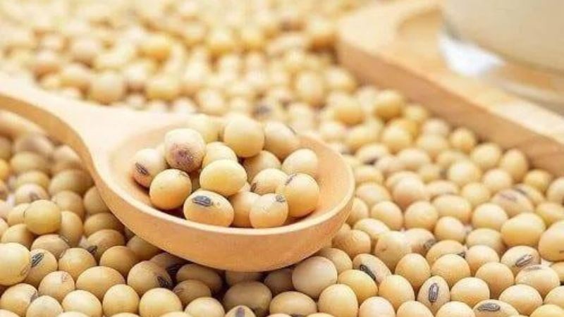 Đậu nành chứa vitamin D và canxi giúp xương chắc khỏe