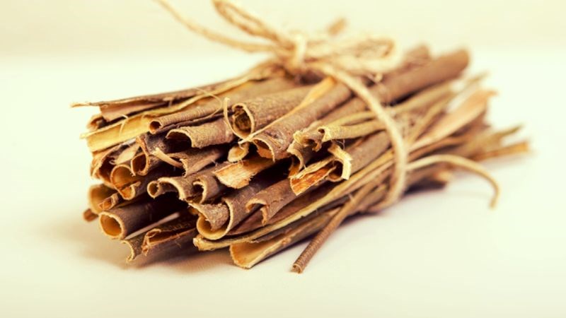 Vỏ cây liễu chứa salicin giúp giảm các chất gây đau xương khớp