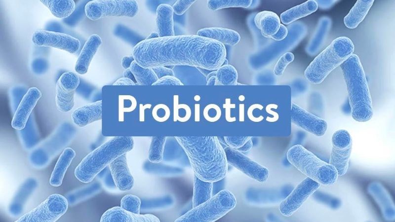  Probiotics có thể giúp cân bằng vi khuẩn đường ruột
