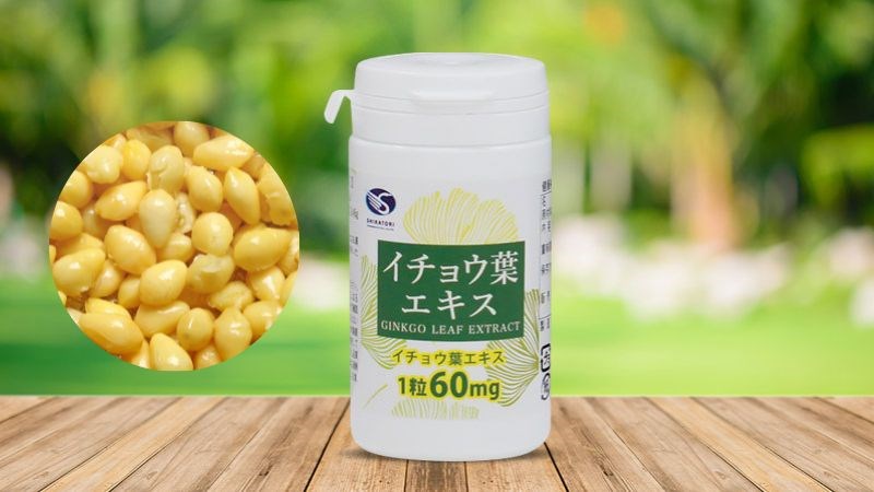 Viên uống bổ não Shiratori Extract có chứa chiết xuất bạch quả