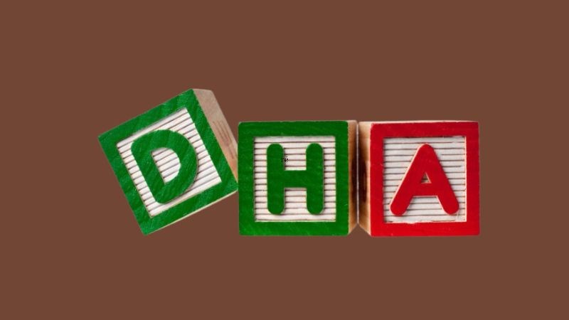 DHA là một trong số các chất cần thiết cho sự phát triển của não bộ