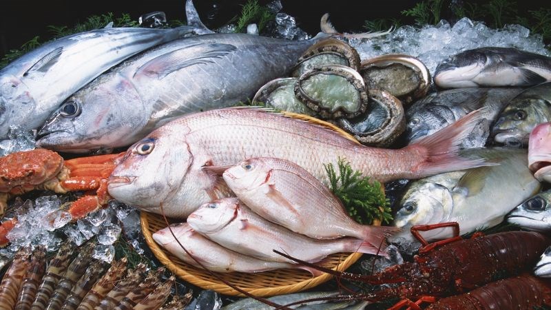 Các loại cá biển rất giàu omega 3 có lợi cho sức khoẻ não bộ