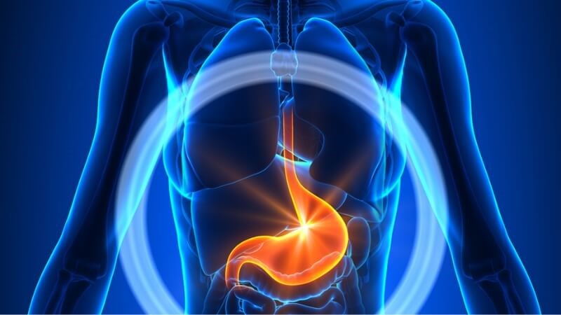 D-limonene có trong vỏ chanh giúp ngăn ngừa ung thư dạ dày