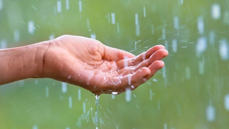 Bạn không nên sử dụng nước mưa trực tiếp cho các sinh hoạt hằng ngày