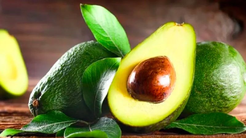 Vitamin E trong bơ giúp mắt ngăn ngừa được những tổn thương do gốc tự do