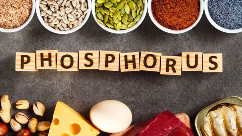 Hải sản, sữa, táo là nguồn cung cấp phospho dồi dào