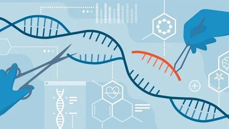 Test PCR để đánh giá chính xác nguyên nhân do virus nào