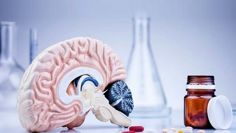 Viên uống bổ não cho người già thường chứa vitamin nhóm B, omega 3 và Ginkgo Biloba
