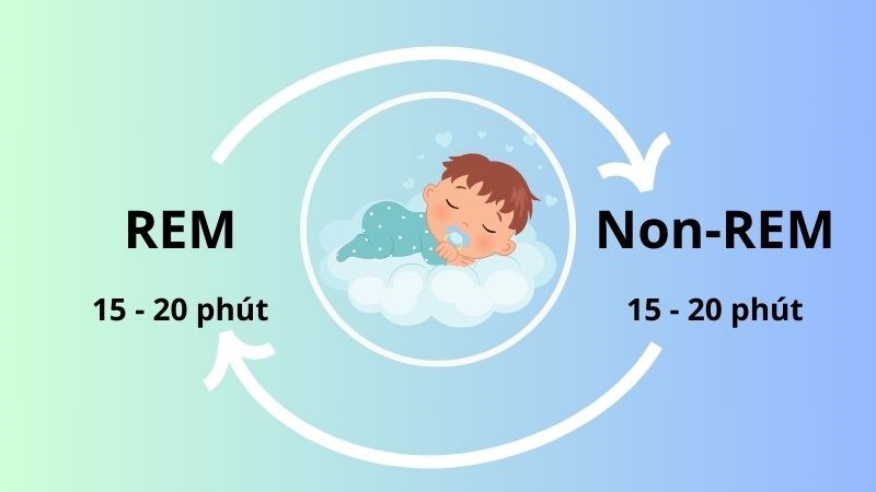 Tỷ lệ giữa hai phần của giấc ngủ là REM và Non-REM của trẻ khác so với người lớn nên dễ bị đánh thức hơn