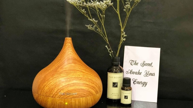 Sử dụng máy khuếch tán chứa tinh dầu hương thảo giúp thư giãn hiệu quả
