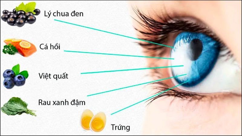 Bổ sung đầy đủ các chất chống oxy hoá để tăng cường thị lực