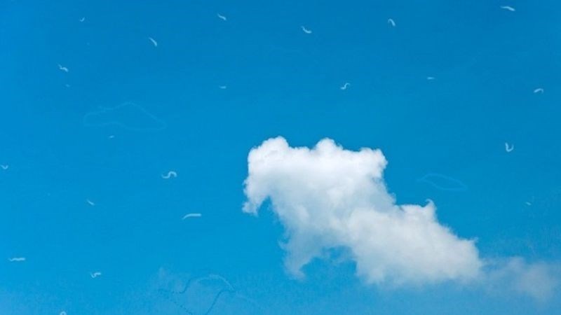 Người bệnh nhìn thấy chấm trắng từ 1- 3 giây