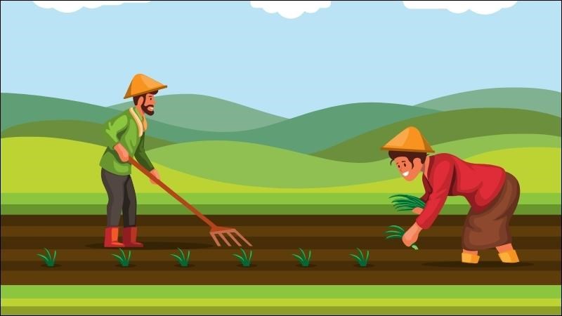 Người dân có thể sẽ hít phải bụi nhiễm vi khuẩn trong quá trình cày, xới đất