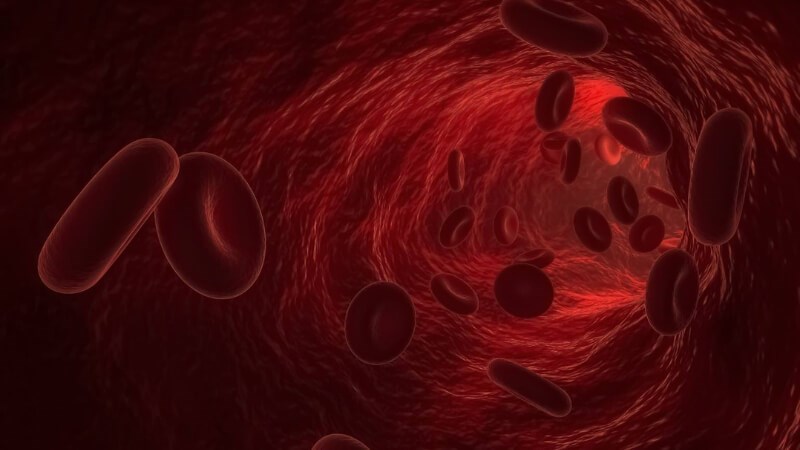 Vitamin E gi&uacute;p ngăn ngừa t&igrave;nh trạng thiếu m&aacute;u ở trẻ b&uacute; mẹ