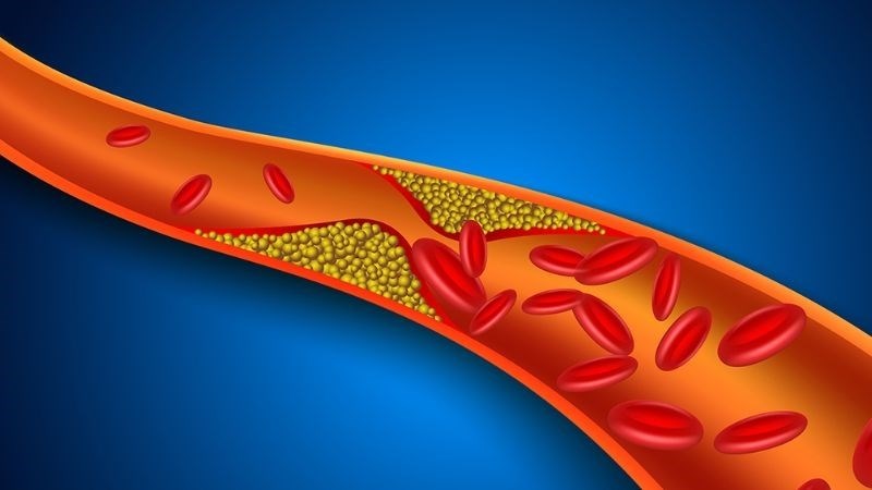Nấm hầu thủ còn có tác dụng hạ lipid máu