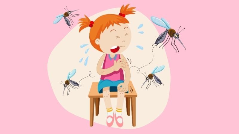 Bệnh sốt xuất huyết xảy ra do vi-rút Dengue lây truyền qua muỗi