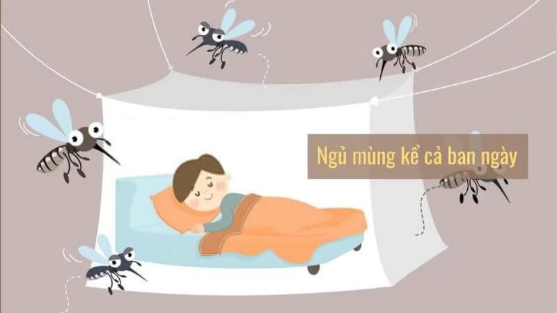 Nên ngủ mùng kể cả ban ngày