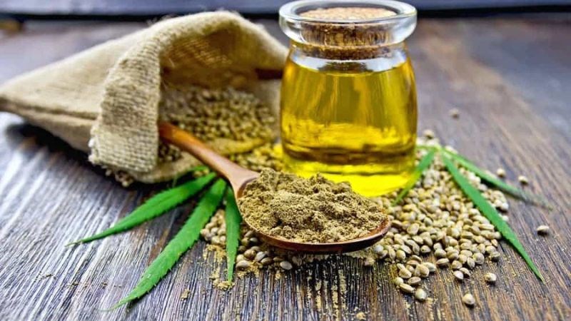 Lạm dụng hạt gai dầu có thể gây hại cho sức khỏe