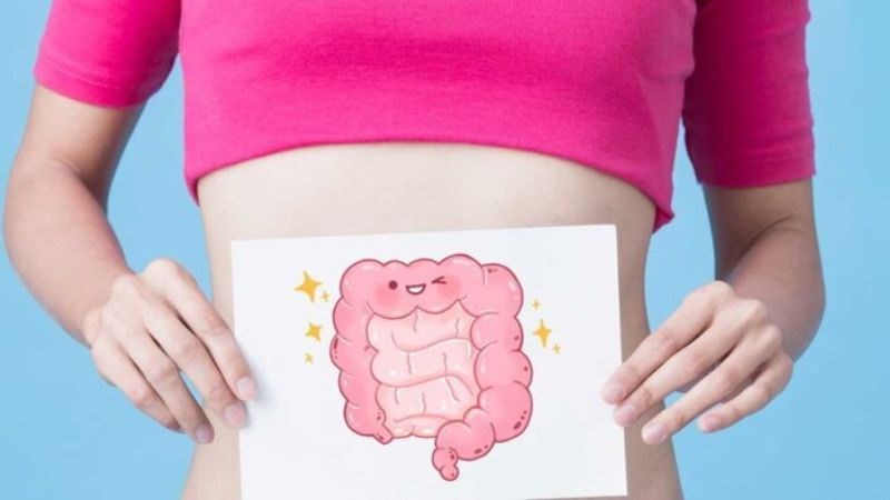 Hạt gai dầu có tác dụng hạn chế nguy cơ mắc bệnh lý đại tràng