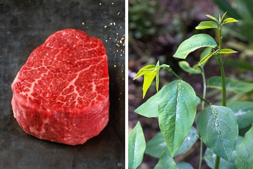 Lợi ích của cháo thịt bò rau ngót cho bé 