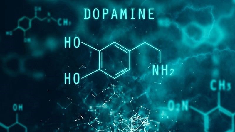 Dopamine là chất chống oxy hóa có trong chuối tiêu giúp bảo vệ tế bào xương khớp