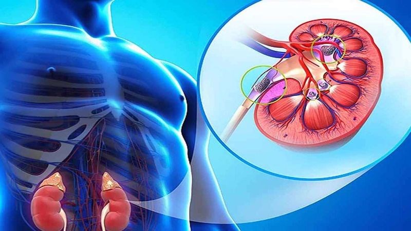 Nồng độ kali cao trong chuối không tốt đối với người bị viêm thận