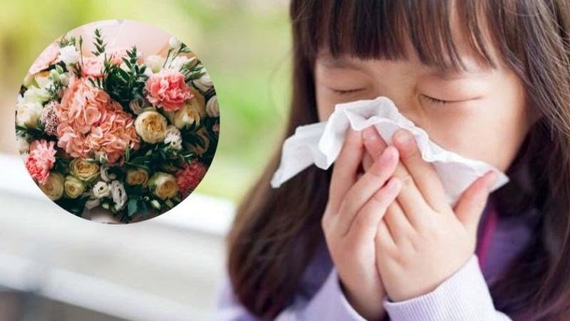 Người bị dị ứng phấn hoa có thể xuất hiện tình trạng sổ mũi, chảy nước mũi