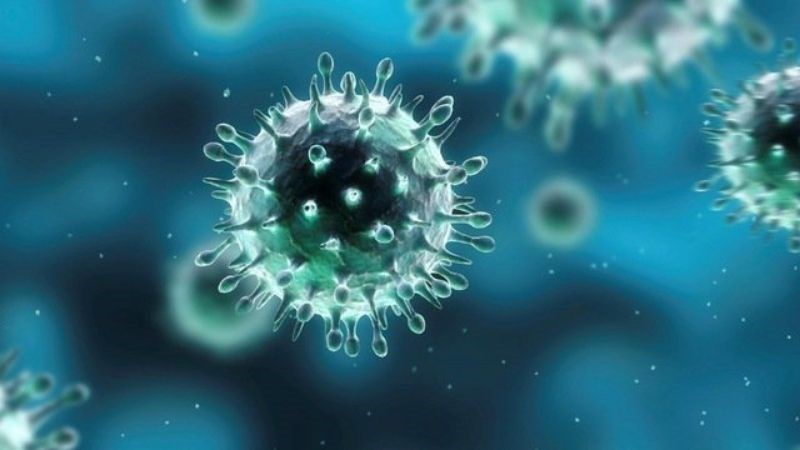 Bệnh cảm cúm do virus cúm gây ra