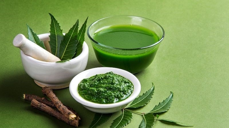 Ép lá cây neem bôi lên vùng tổn thương giúp tiêu diệt rận mu
