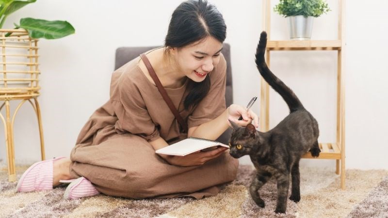 Chơi với thú cưng giúp cải thiện tâm trạng hiệu quả