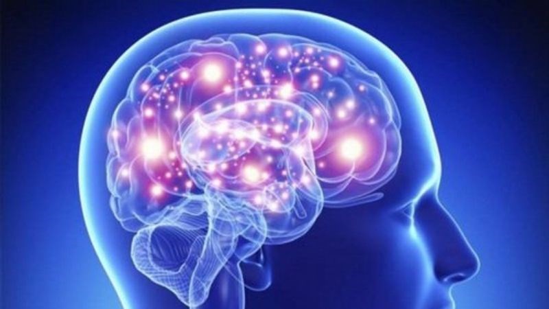 Căng thẳng mãn tính có thể dẫn đến teo não