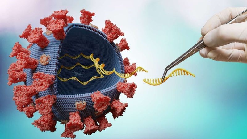 Virus SARS-COV-2 gây ra các trận đại dịch trên toàn cầu