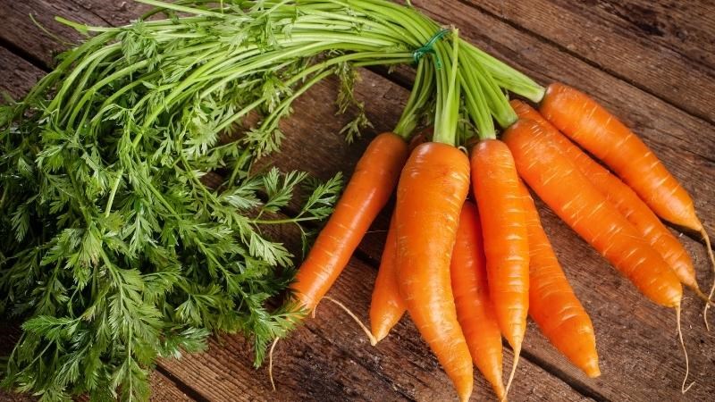 Cà rốt là thực phẩm giàu caroten nên rất tốt cho mắt