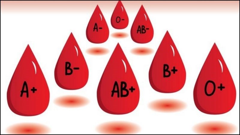 Nhóm máu O thu hút muỗi hơn so với các nhóm máu khác