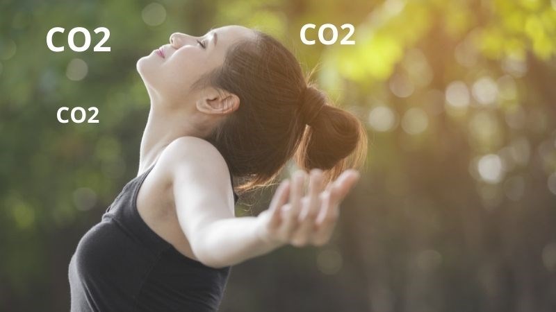 Muỗi có thể cảm nhận được CO2 từ khoảng 5 đến 15 mét