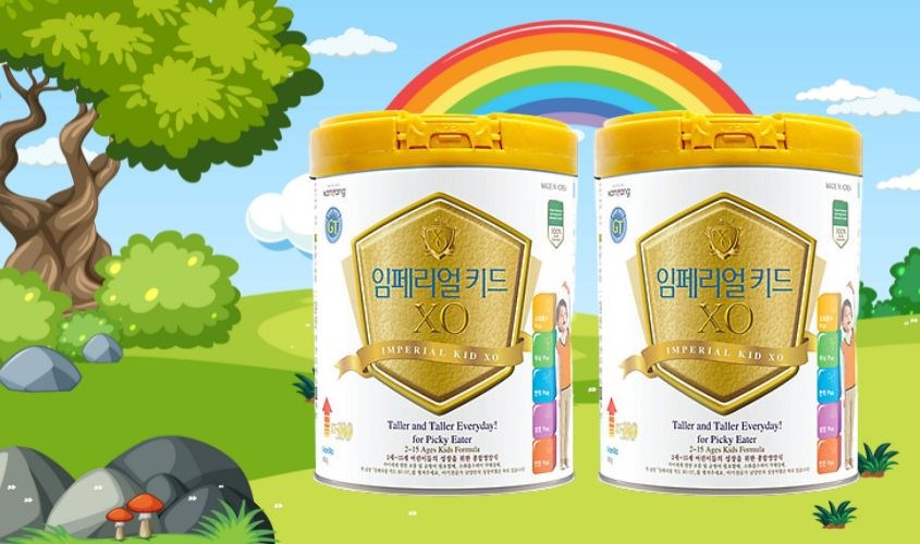 Sữa bột XO Imperial Kid 800g